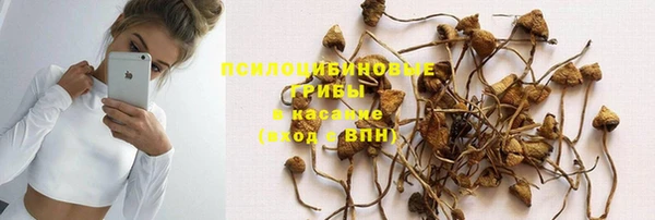 бошки Алексеевка