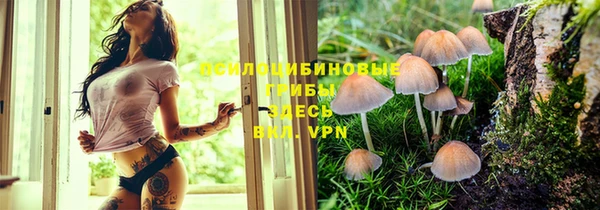 бошки Алексеевка