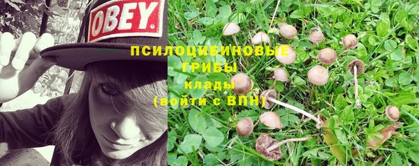 бошки Алексеевка